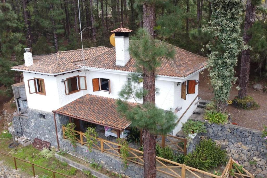 Floral Garden House Vila Icod De Los Vinos Exterior foto